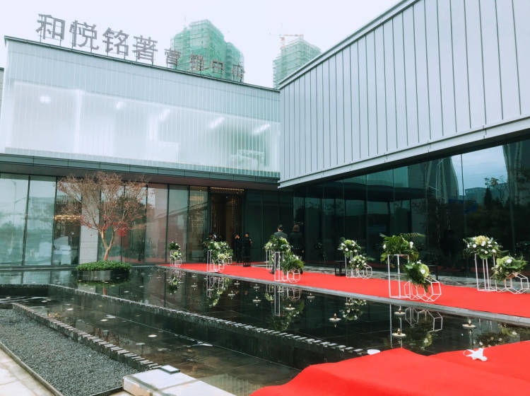 和悦铭著最新佳作，探索时代前沿的卓越之作
