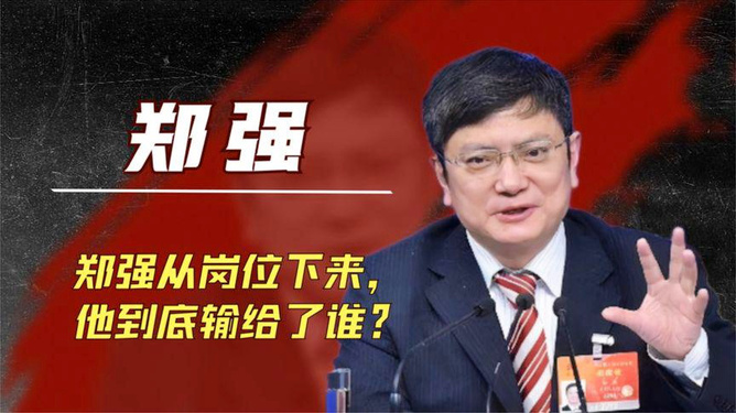 郑强最新职位揭秘，探索领导角色的新高度成就与成就者郑强