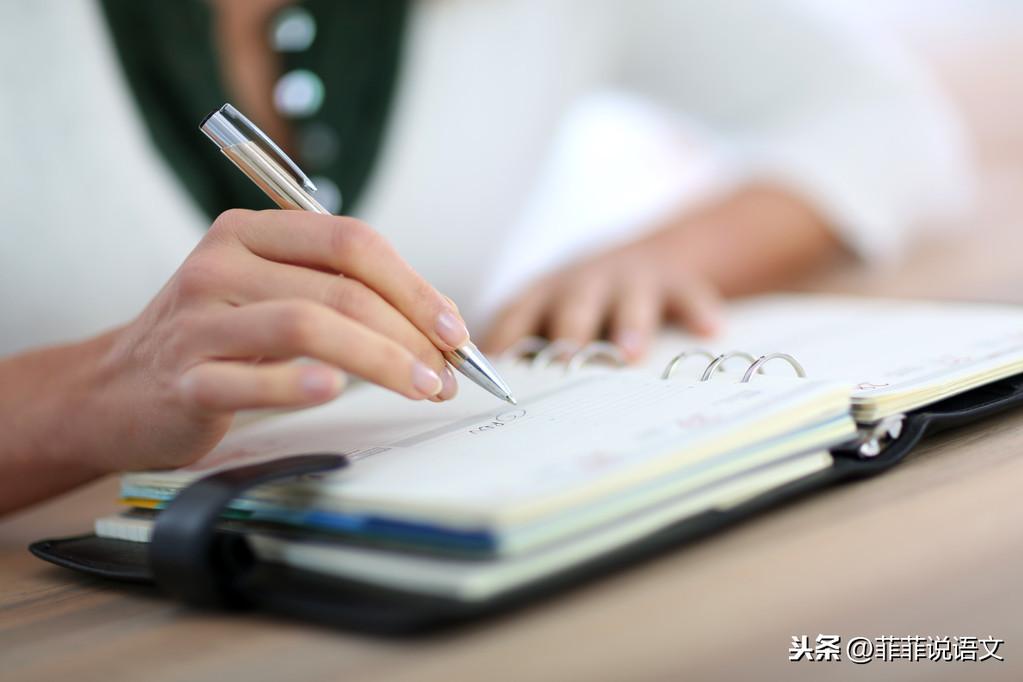 中考仿写最新趋势，探索创新之路