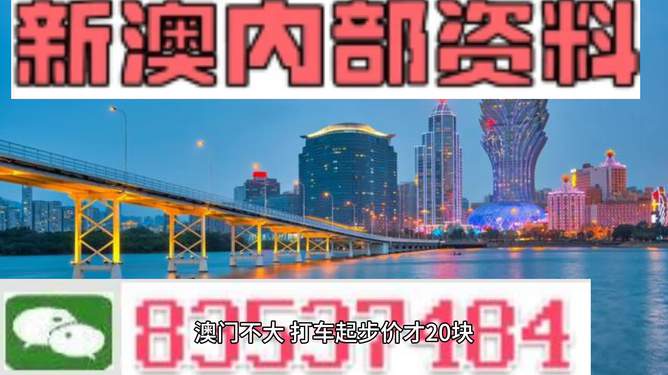 新澳门天天彩正版免费资料,可持续发展探索