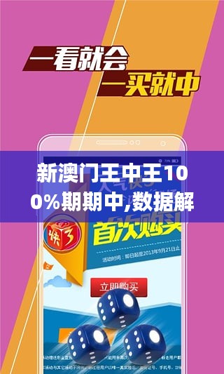新澳门王中王期期中,详细解读落实方案_WP版63.973