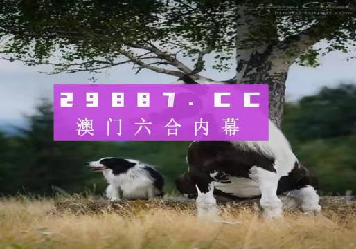 118澳门免费开奖大全,效率资料解释落实