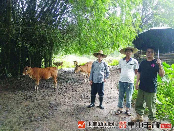 浪平乡重塑乡村面貌，最新发展规划推动可持续发展
