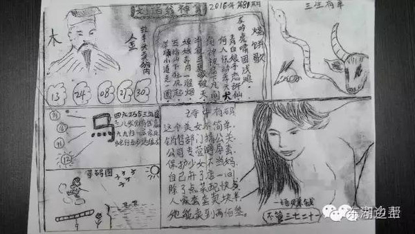 管家婆白小姐四肖四码,陈述释义解释落实_速成版6.013