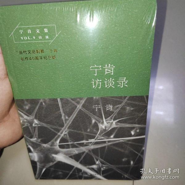 宁肯最新著作深度解读与多维探索