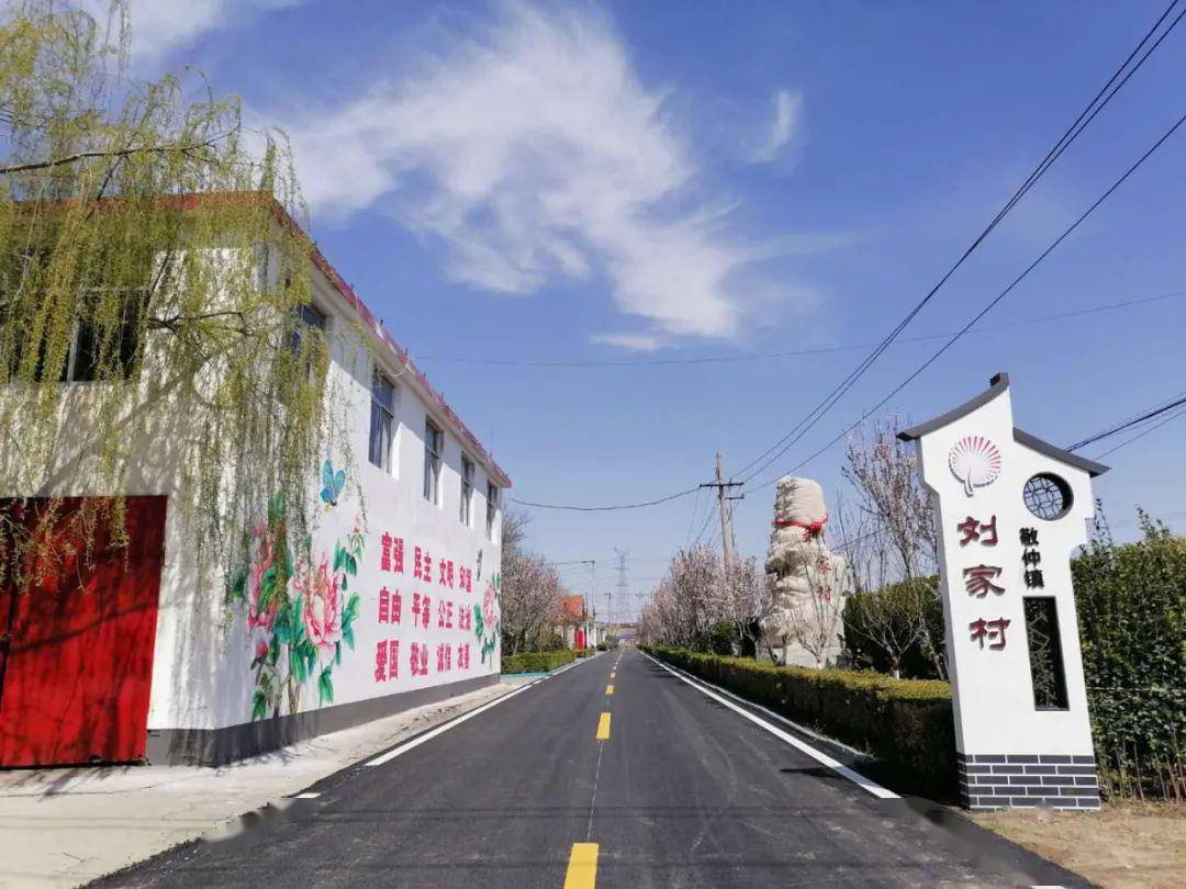 临淄疫情最新动态分析与更新