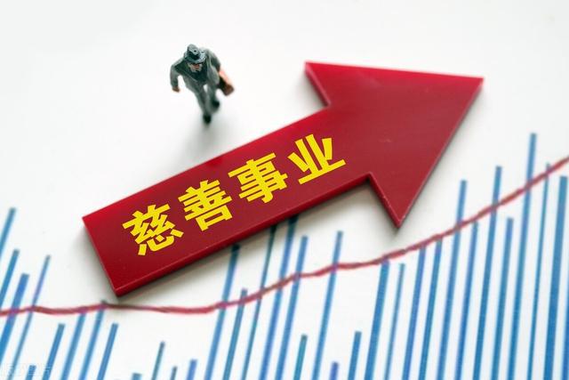最新捐款数据揭示社会关爱力量的蓬勃发展
