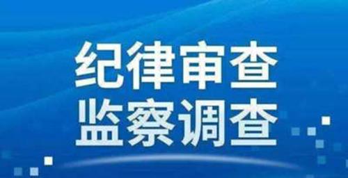 洪丕源最新动态，探索前沿科技，引领未来发展趋势