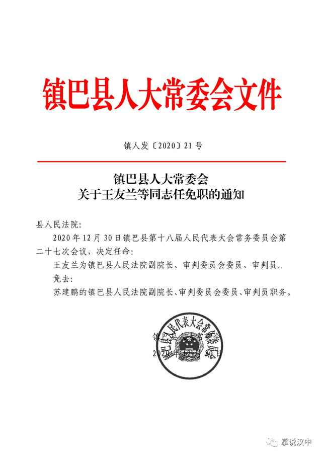 儒林村委会人事任命更新，推动乡村发展的新力量崛起
