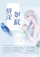 最新情深如狱，情感深度与时代共鸣的共鸣之作