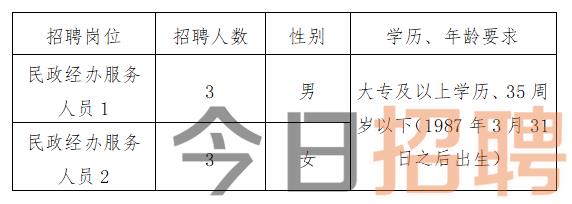 武山县统计局最新招聘信息概览，职位空缺与申请指南