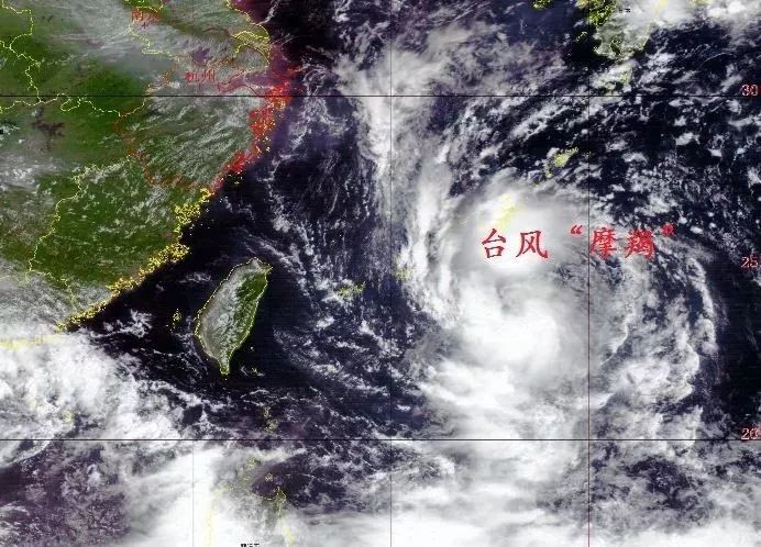 台风警报，最新动态关于台风12号逼近，需做好充分准备