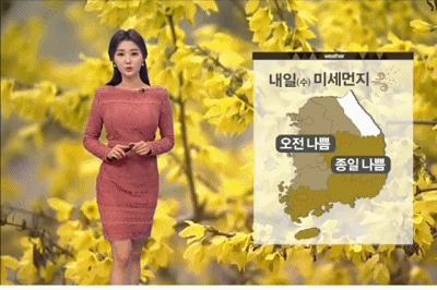 北京天气最新情况分析与预报