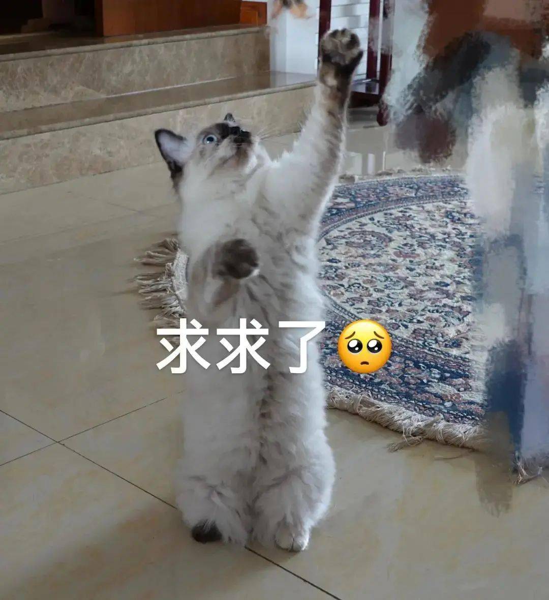 贵州最新疫情今日概况及应对措施简报