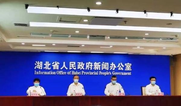 湖北十一最新疫情，全面防控与积极应对策略
